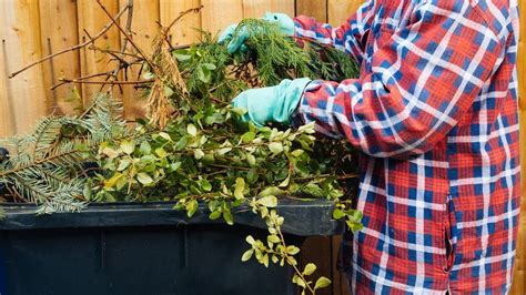 Deadline given to pay for garden waste collection in York.